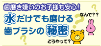 ���݂��������̂��q�l�����S�I�������ł������鎕�u���V�̔閧